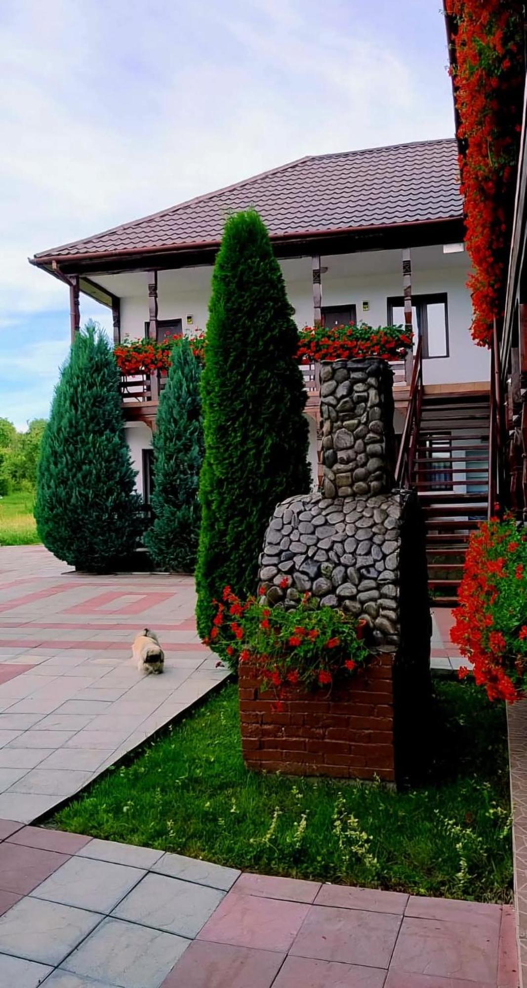Cris & Mona Hotel ซาพึนซา ภายนอก รูปภาพ